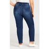 Avenue Women's Plus Size Petite Hi Rise Straight Jegging - 3 of 4