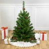 Northlight 3' Pre-Lit Canadian Pine with Pine Cones Artificial Christmas Tree - Clear Lights - 2 of 4