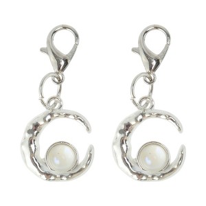 Unique Bargains Shoe Bling Accessorie Silver Tone 1 Pair - 1 of 4