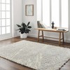 Hauteloom Ioana Gray Plush Area Rug - 2 of 4