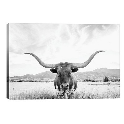 18" x 26" x 0.75" Longhorn by Sisi & Seb Unframed Wall Canvas - iCanvas