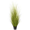 Green/Brown Switchgrass Potted - 4 of 4