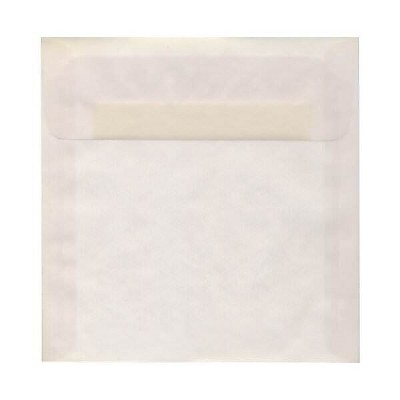 JAM Paper 9 x 9 Square Translucent Vellum Invitation Envelopes Clear 2851355I