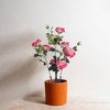 2PCS Faux Peony Flower Trees, 28" Tall Realistic Pink Artificial Blooming Plants in Pots for Indoor Outdoor and Office Décor - 4 of 4