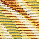 sunflower yellow