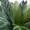 Nearly Natural 4.5-ft Cycas Artificial Tree in Oval Planter UV Resistant (Indoor/Outdoor) - 3 of 4