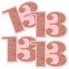 Big Dot of Happiness 13th Pink Rose Gold Birthday - Decorations DIY Happy Birthday Party Essentials - Set of 20 - 2 of 4
