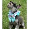 Disney Ariel Premium Pet Collar - 2 of 2