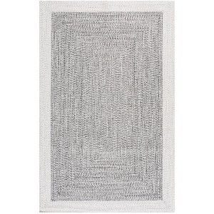 Braided BRA281  Machine Washable UV Resistant Stain Resistant Non-Shedding Hand Woven Indoor/Outdoor Rugs - Safavieh - 1 of 4