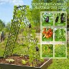 Coucheta 2Pcs Garden Cucumber Trellis Plant Support Stand Outdoor Rustproof Climbing Plants Vegetables Flowers Tomato Garden Trellis, 40x150Cm - 3 of 4