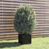 vidaXL Garden Planter Black 15.7"x15.7"x15.7" Solid Wood Pine - 2 of 4