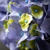 Sullivans Artificial Hydrangea Stem 26"H - 2 of 2