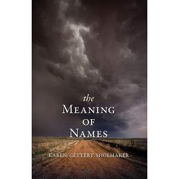 The Meaning of Names - by  Karen Shoemaker (Paperback)
