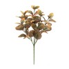Melrose Variegated Foliage Plant (Set of 6) - 3 of 3