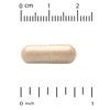 Super Nutrition Organic Turkey Tail Mushroom, 60 Veggie Capsules (0.5 g per Capsule) - 3 of 4
