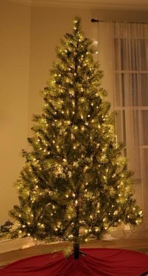 Guest review image 5 of 5, zoom in