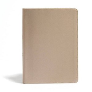 CSB She Reads Truth Bible, Champagne Gold Leathertouch, Indexed - by  Raechel Myers & Amanda Bible Williams & Csb Bibles by Holman (Hardcover) - 1 of 1