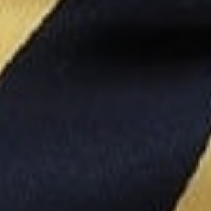 navy blue and honey gold