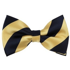 Men's 2.75 W And 4.75 L Inch With Pre-Tied College Stripe Bowtie - 1 of 3