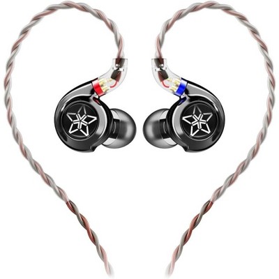 FiiO FH11 HiFi 1DD+1BA Hybrid Driver in-Ear IEM Earphone with Detachable 0.78 2Pin Cable HiFi Stereo Wired Earbuds for Musician/Audiophile