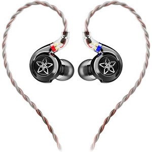 FiiO FH11 HiFi 1DD+1BA Hybrid Driver in-Ear IEM Earphone with Detachable 0.78 2Pin Cable HiFi Stereo Wired Earbuds for Musician/Audiophile - 1 of 3