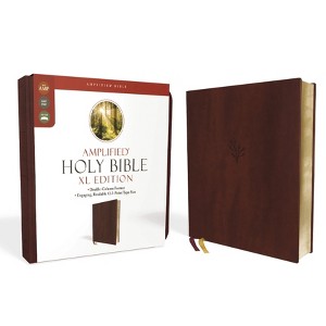 Amplified Holy Bible, XL Edition, Leathersoft, Burgundy - by  Zondervan (Leather Bound) - 1 of 1