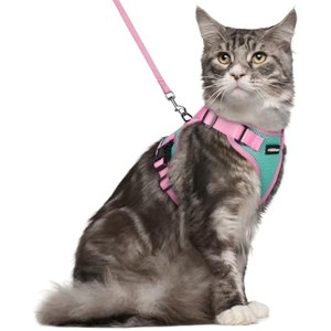 rabbitgoo Cat Harness and Leash Set, Escape , Easy Control Breathable Kitten Jacket with Reflective Strips, Green & Pink, M - 1 of 1