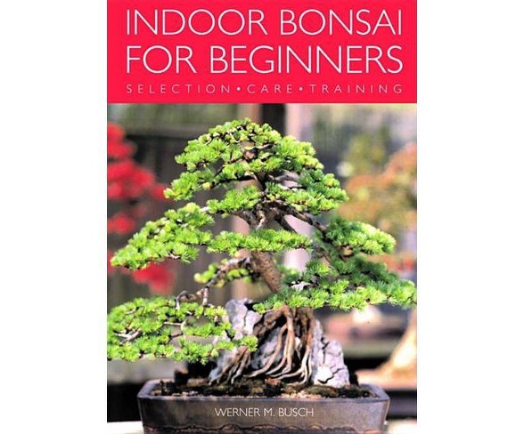 Indoor Bonsai For Beginners By Werner Busch Paperback | Desertcart Brunei