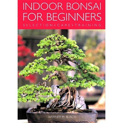 Indoor Bonsai For Beginners By Werner Busch Paperback Target