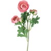 Northlight Real Touch™ Light Pink Ranunculus Artificial Floral Sprays, Set of 6 - 21" - 3 of 4