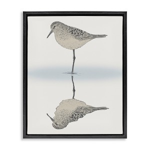 Stupell Industries Tranquil Sandpiper Bird Reflection Floating Frame Canvas Art, Black, 17" x 21" - 1 of 4