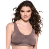 Paramour by Felina | Body Smooth Seamless Wireless Bralette 2-Pack - 2 of 4
