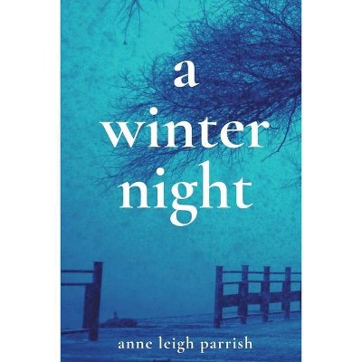 A Winter Night - by  Anne Leigh Parrish (Paperback)