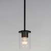 Maxim Lighting Corona 1 - Light Pendant in  Black - 2 of 3