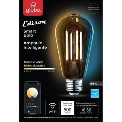 Smart 60W Amber Glass Tunable White Edison LED Bulb