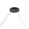 Elan Lighting Walman 1 - Light Chandelier in  Matte Black - 3 of 4