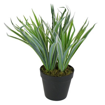 Northlight 13" Two-Tone Grass Artificial Potted Plant - Green/White