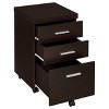 Skeena 3 Drawer Mobile Storage Cabinet Cappuccino - Coaster - 3 of 4