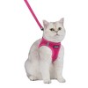 Voyager Step-In Air Cat Leash Harness Set - All Weather Mesh, Step In Vest Harness for Small and Large Cats by Best Pet Supplies - 4 of 4
