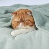 Cozy Comfort by Bedsure | Flannel Blanket Solid 260GSM Soft Fuzzy Plush Bed Blanket - 3 of 4