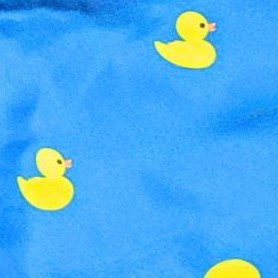 ducks