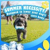 Allforpaws Chill Out - Dog Toy - Bite Resistance Dog Cooling Chew Toy for Summer, Ice Bone, L - 3 of 4