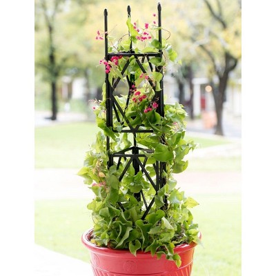 Diamond Trellis 59in - Gardener's Supply Company