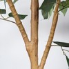 KTMBDW 6ft Ficus Artificial Trees with Natural Curved Trunk, 72" Tall Lush Faux Tree for Home Decor Indoor, Lifelike Fake Artificial Plants - 4 of 4