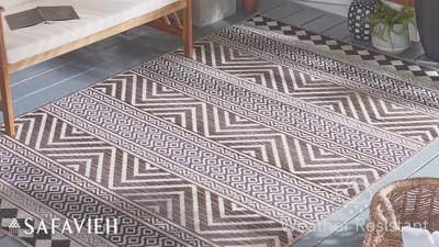 Havana Round Black and Light Brown Synthetic Indoor/Outdoor Rug