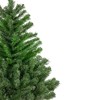 Northlight Full Two-Tone Colorado Spruce Artificial Christmas Tree - 7' - Unlit - image 4 of 4