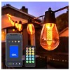 BlueAcorn Bluetooth LED Edison Indoor/Outdoor String Lights for patio, 48ft - 2 of 4