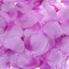 Unique Bargains Decoration Wedding Party Silk Artificial Flower Petals Dark Purple 2000 Pcs - 4 of 4