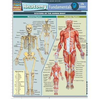 Anatomy Fundamentals: Life Science - (Quickstudy: Academic) by  Vincent Perez (Poster)