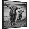 Amanti Art Highland Cow Couple by Stephane Pecqueux Canvas Wall Art Print Framed 22 x 22-in. - 3 of 4